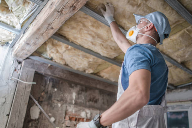 Best Cellulose Insulation in Brices Creek, NC