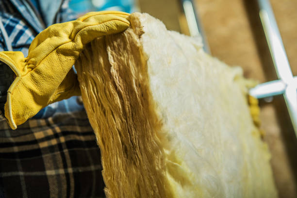 Best Specialized Insulation Services in Brices Creek, NC