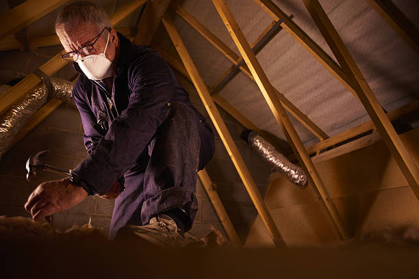 Best Spray Foam Insulation in Brices Creek, NC
